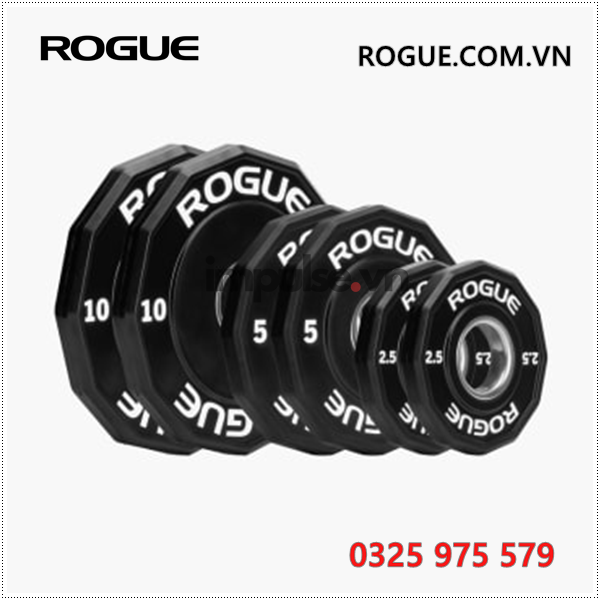 Ta-dia-rogue-Bumpers-12-mat-polyurethane-rogue.com.vn-0325975579-rogue-sai-gon