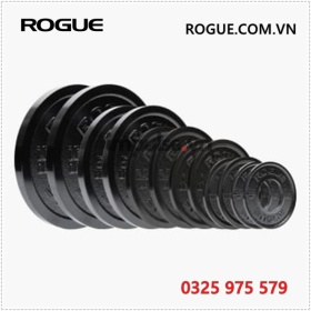 Ta-dia-rogue-usa-rogue.com.vn-0325975579-rogue-da-nang