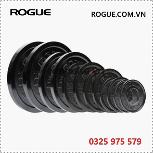 Ta-dia-rogue-usa-rogue.com.vn-0325975579-rogue-da-nang