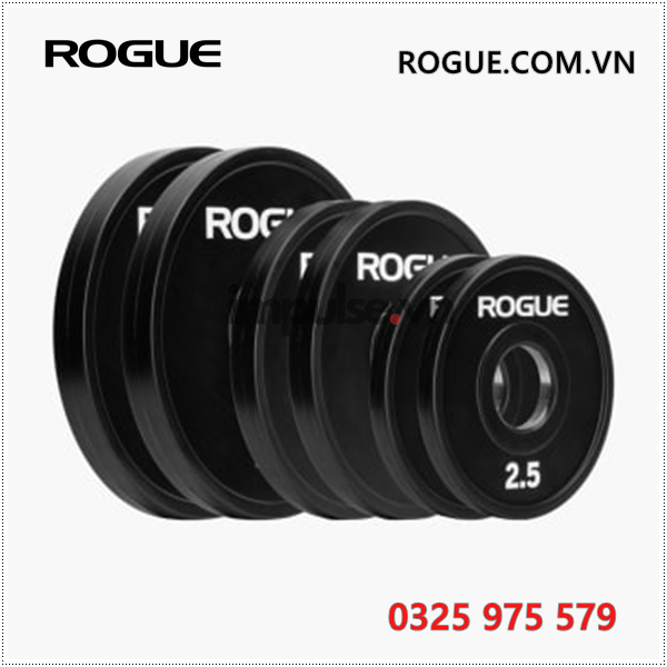 Ta-rogue-ta-olympic-urethane-rogue.com.vn-0325975579-Ta-rogue-ha-noi