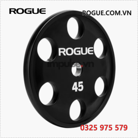 Tam-lot-cam-tay-olympic-rogue-lb-rogue.com.vn-0325975579