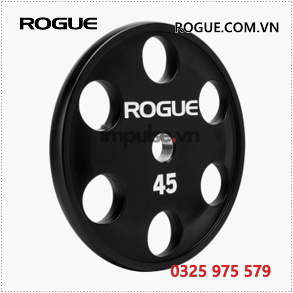 Tam-lot-cam-tay-olympic-rogue-lb-rogue.com.vn-0325975579
